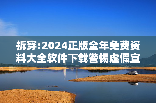 拆穿:2024正版全年免费资料大全软件下载警惕虚假宣传、全面解答与解释
