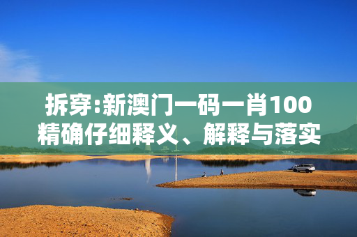 拆穿:新澳门一码一肖100精确仔细释义、解释与落实