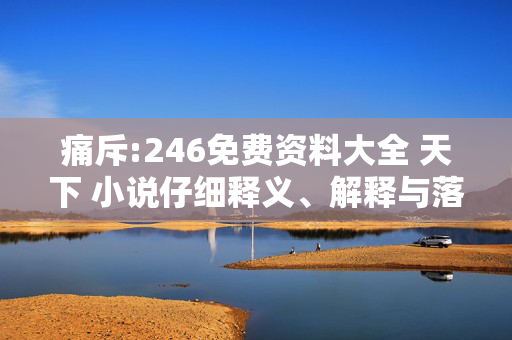 痛斥:246免费资料大全 天下 小说仔细释义、解释与落实