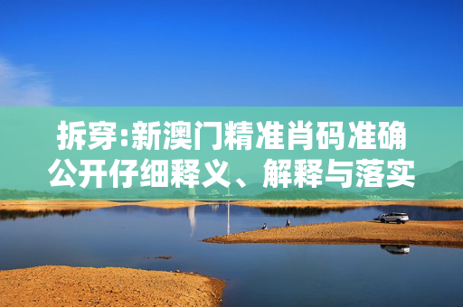 拆穿:新澳门精准肖码准确公开仔细释义、解释与落实
