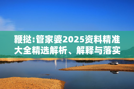 鞭挞:管家婆2025资料精准大全精选解析、解释与落实