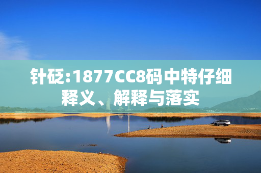 针砭:1877CC8码中特仔细释义、解释与落实