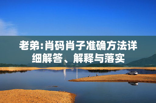 老弟:肖码肖子准确方法详细解答、解释与落实